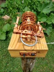 IMG_20240619_114505308_HDR