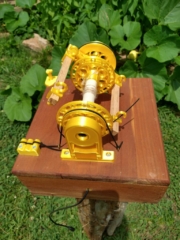 IMG_20240619_114607091_HDR