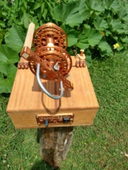 IMG_20240619_114746702_HDR