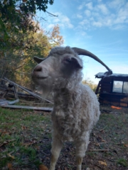 IMG_20241101_160414972_HDR